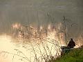 adda (76)